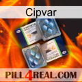 Cipvar viagra5